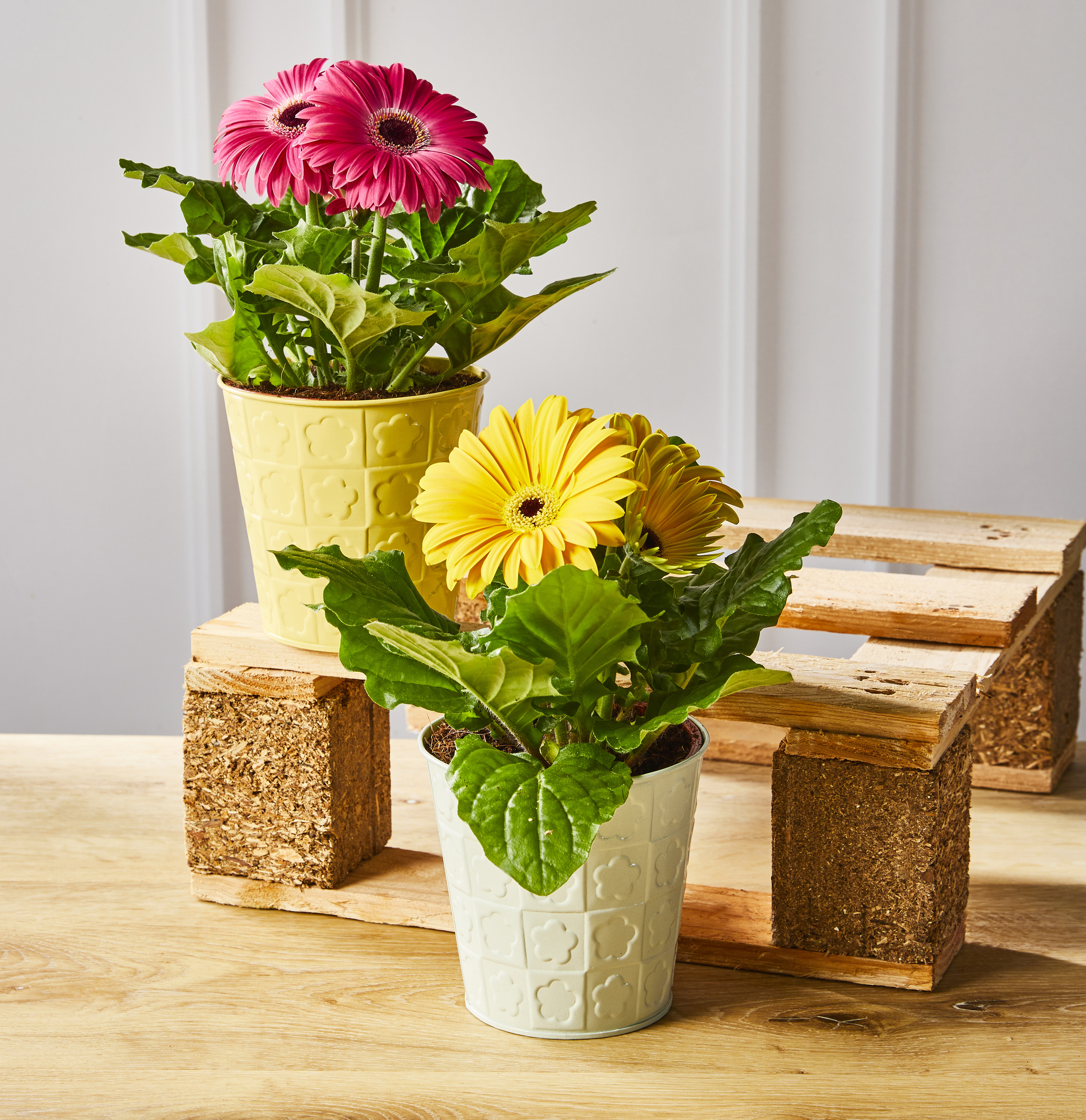  GERBERA code EAN 8719194545458 