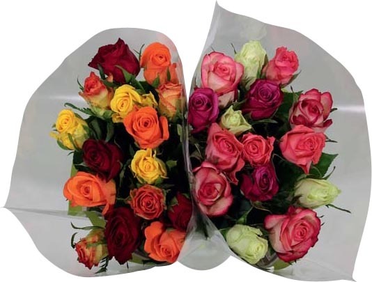 BOUQUET DE 15 ROSES ARLEQUIN MAX HAVELAAR 8719908001294 (8719908001294)