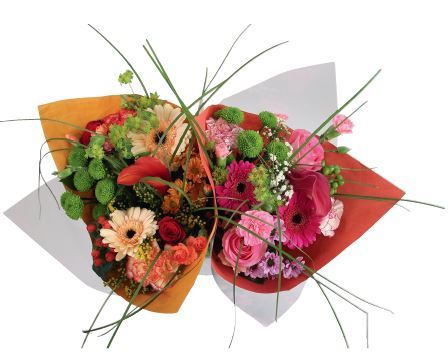 BOUQUET COMPOSÉ 8719908002147 (8719908002147)