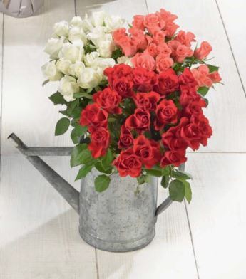 BOUQUET DE 20 ROSES PETITS BOUTONS 8719908002482 (8719908002482)