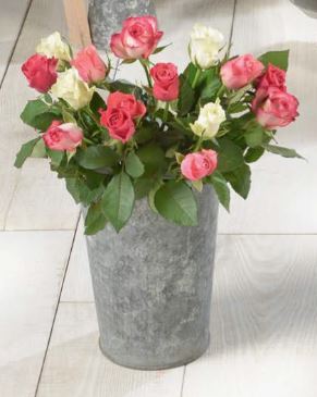 BOUQUET DE 15 ROSES ARLEQUIN MAX HAVELAAR 8719908002499 (8719908002499)