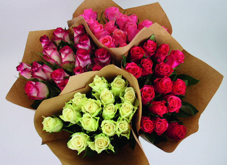 BOUQUET DE 15 ROSES 8719908004462 (8719908004462)