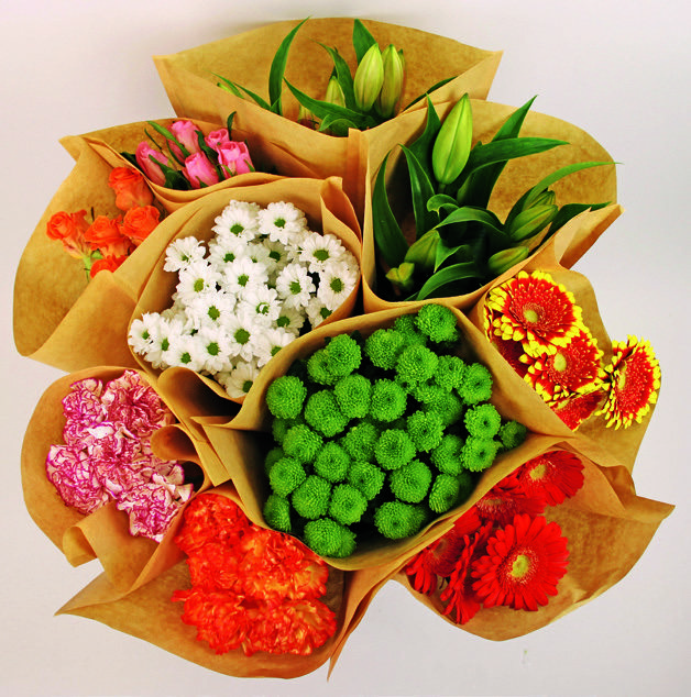 BOUQUET UNIFLEURS + HOUSSE KRAFT ECO 8719908005797 (8719908005797)