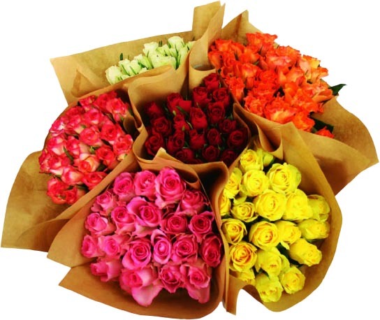 BOUQUET DE 20 ROSES 8719908008279 (8719908008279)