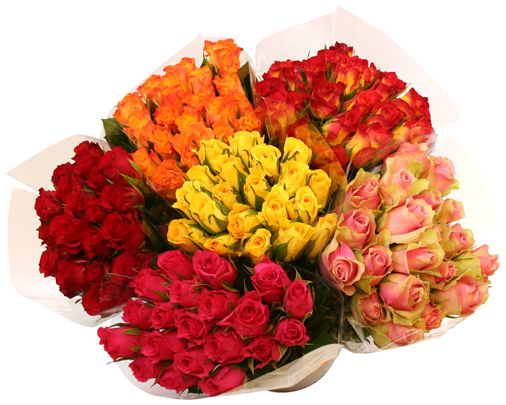 Bouquet de 20 roses code EAN 8719908028338 