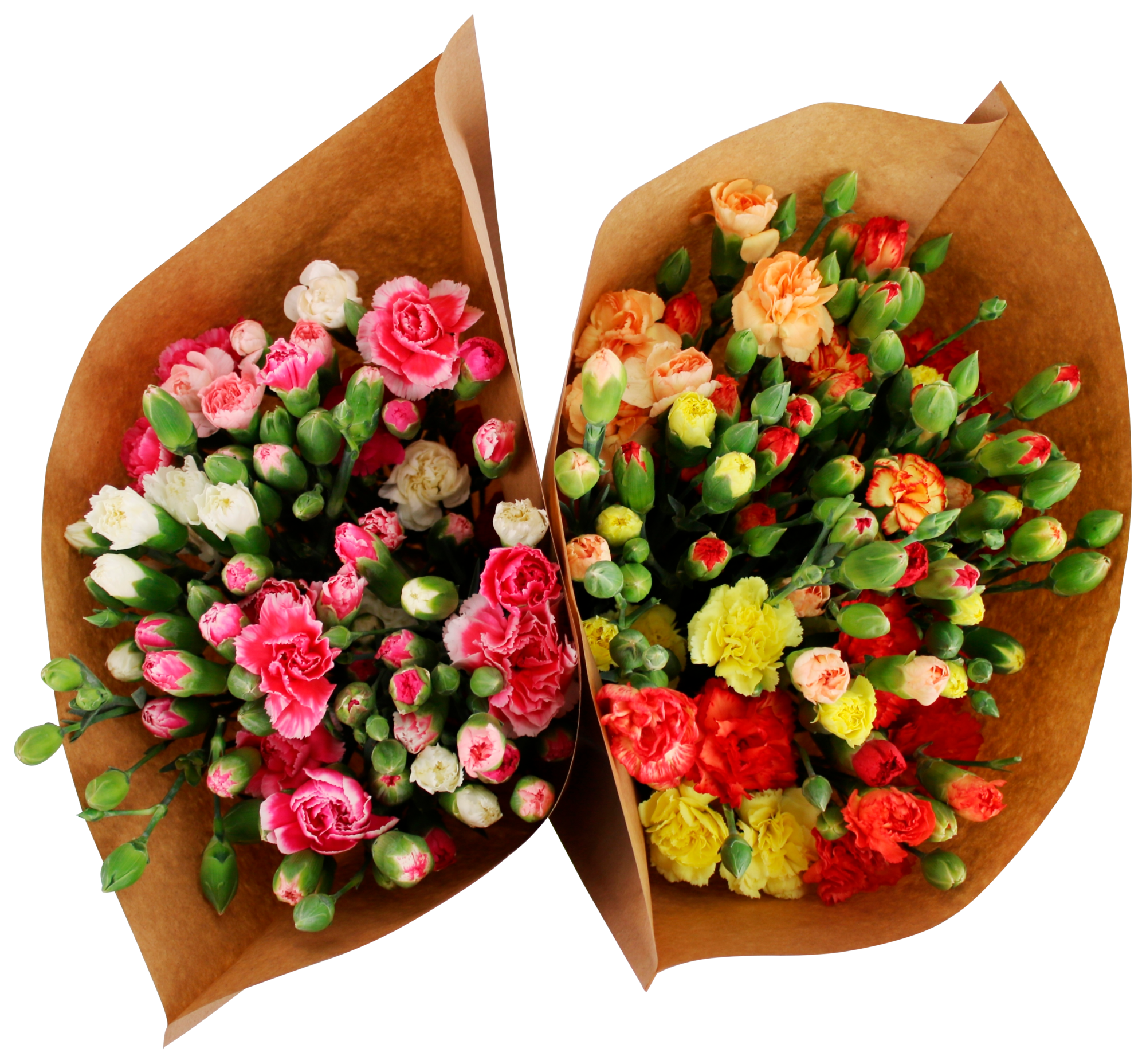  Bouquet 20 mini oeillets arlequin code EAN 8719908028840 