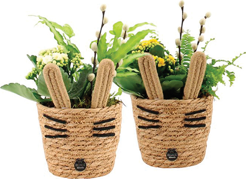  COMPOSITION DE PÂQUES code EAN 8719943459081 