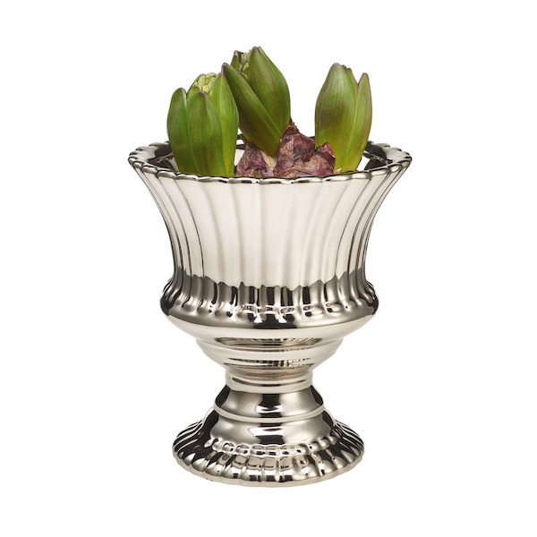 Coupe jacinthe 3 plantes  8720094210827 (8720094210827)