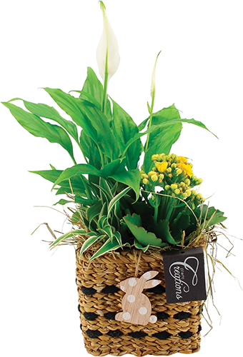 COMPOSITION DE PÂQUES 8720143793646 