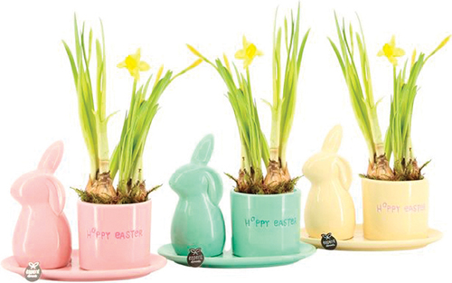 COMPOSITION DE PÂQUES 8720791993788 