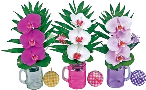 COMPOSITION ORCHIDÉE 3 FLEURONS EN MUG 8740301137945 (8740301137945)