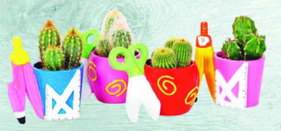 MINI PLANTES GRASSES AVEC CACHE POT 8740301162183 