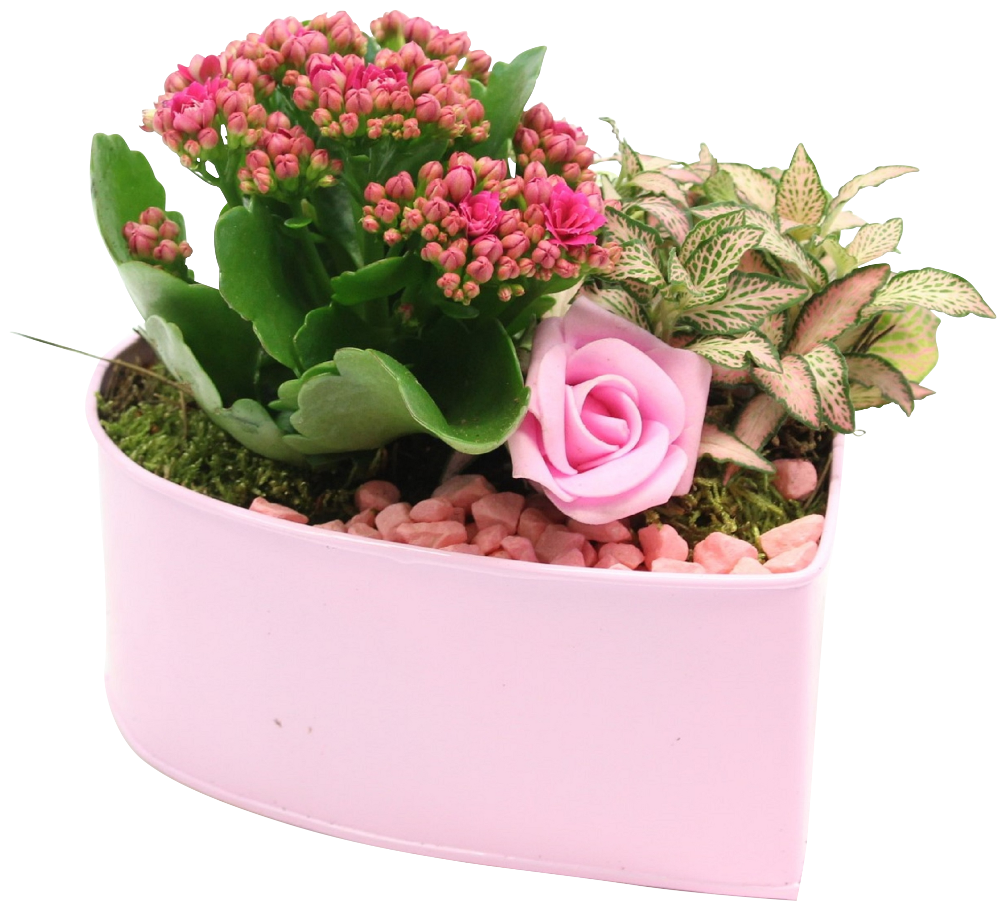  Composition 2 plantes dans zinc cœur code EAN 8740301183478 