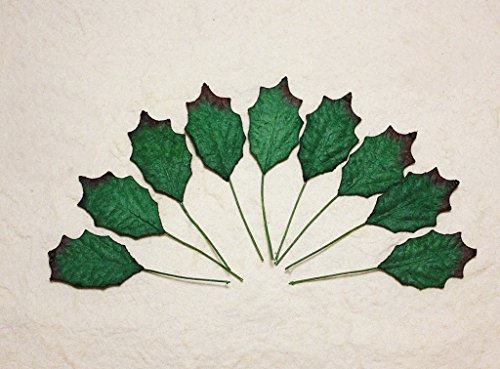 100 vert feuilles de houx NoEl feuilles Scrapbo...