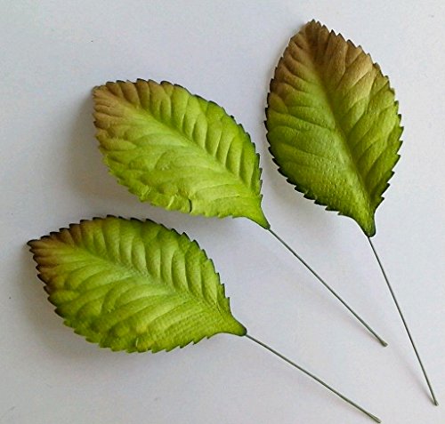 100 vert Rose Papier m?rier feuille feuillage m...