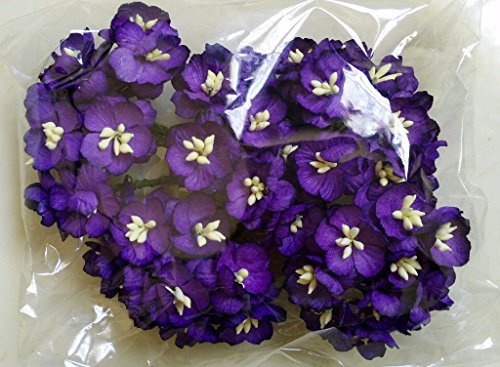 Violet fonc? Mulberry 50 papier Sakura fleur/ma...