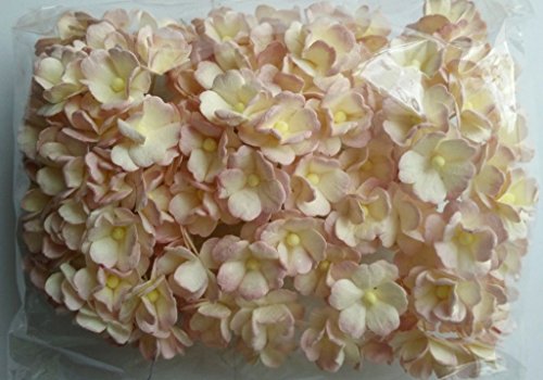 SWEET PINK 100 Mulberry papier 2 couche fleur m...