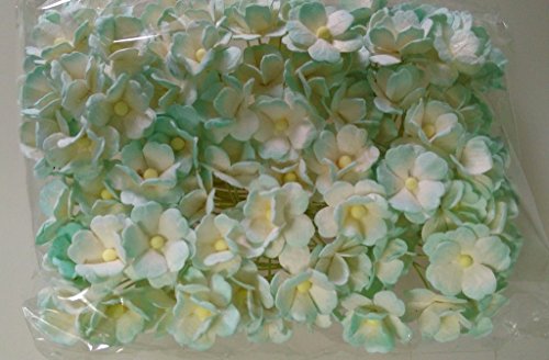 VOYANT vert TURQUOISE 100 Mulberry papier 2 cou...