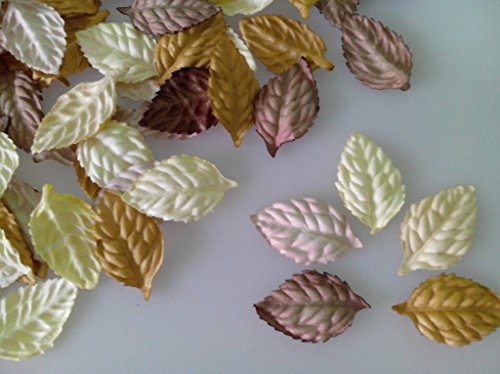 100 m?lange brun Rose feuille Papier m?rier Cra...