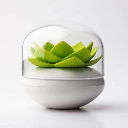 Boite coton tiges lotus blanc et vert