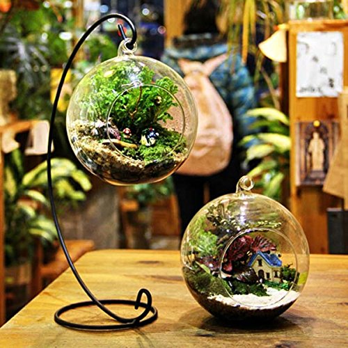 diy micro paysage plante suspendu en verre ball...