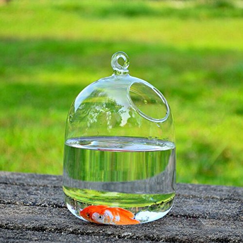 fleurs micro paysage vase en verre de la boutei...