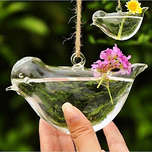 forme d'oiseau accroch pot de verre vase hydrop...