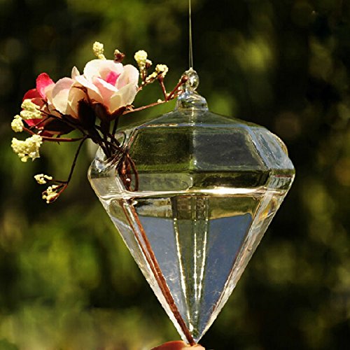 plantes fleurs diamant forme suspendue en verre...