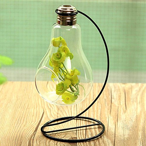 forme de bulbe vase en verre micro paysage co bouteille avec porte 8908417778838 QODZM forme de bulbe vase en verre micro paysage co bouteille avec porte 8908417778838 QODZM
