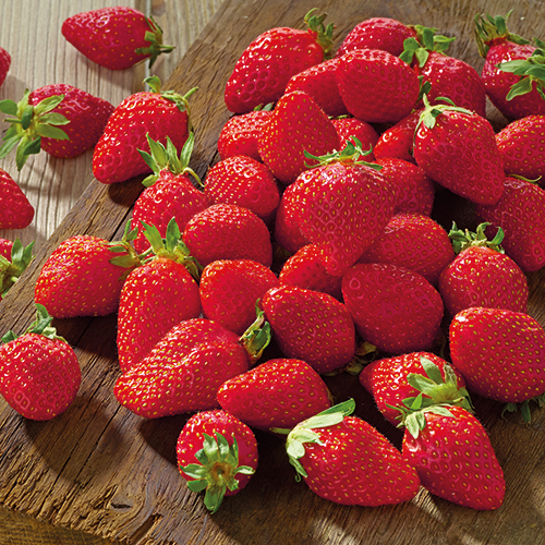  FRAISE code EAN 9000025 