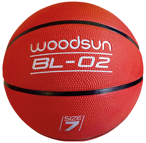  SUR LES PRODUITS PRESENTS EN MAGASIN DE LA GAMME BALLON "WOODSUN" code EAN 9000036 