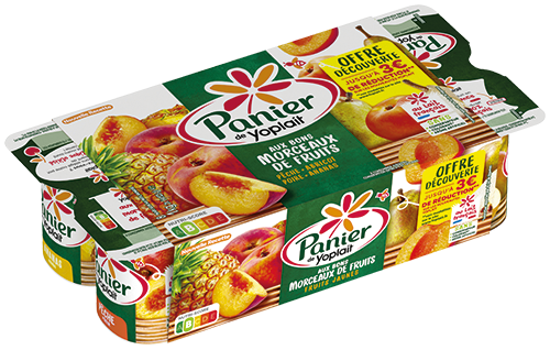  PANIER DE YOPLAIT FRUITS JAUNES OFFRE DÉCOUVERTE code EAN 9000210 