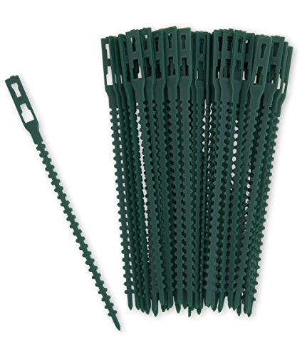 Attache-plante, vert, 140 mm, lot de 50