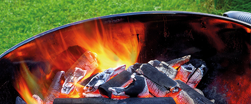 CBDTA CHARBON DE BOIS code EAN 9114200 