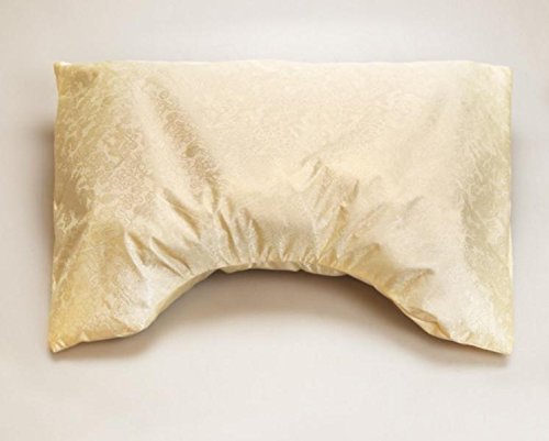 En forme de U vertébral tourisme lent rebond Or...