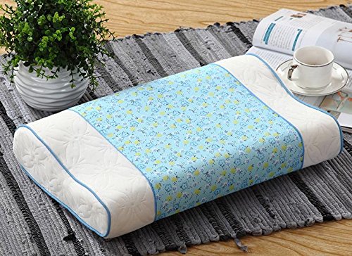 Rebond lent mémoire oreillers soins spinal orei...