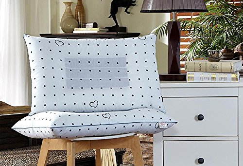 Ingrédients santé oreiller magnétothérapie orei...