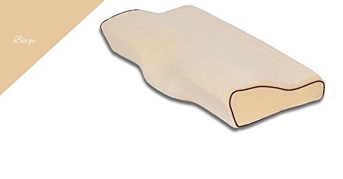 Papillon seule ronfler oreiller oreiller sommei...