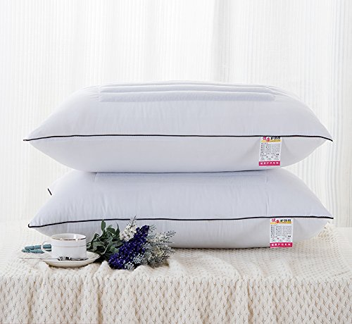 RENYUFEI-ZHENTOU oreiller de sarrasin oreiller cou de soins de santé de la literie rebond lent anti-acariens 46 * 72cm code EAN 9232785650960 