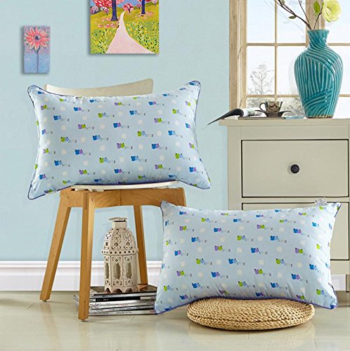 oreiller coton rebond lent mousse à mémoire ore...