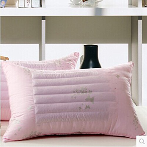 Sarrasin Cassia oreiller oreiller cervical en m...