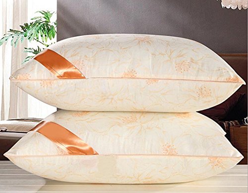 oreiller protection contre les acariens de somm...