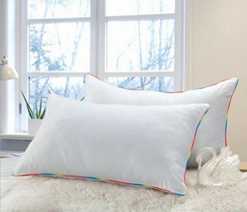 oreiller simple rebond lent oreiller anti-pouss...