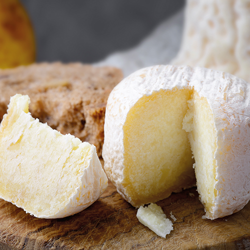 FERME DE LOUBENS CROTIN DE CHÈVRE BIO code EAN 9320000 