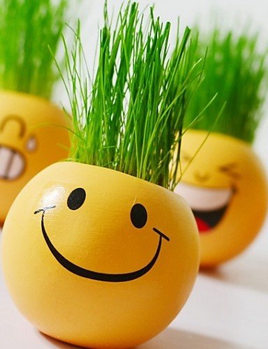 LEBULI LBLI visage cadeau cheveux expression homme plante bonsaï herbe bureau de poupée mini centrale maison fantastique décor (couleur aléatoire) JIAJU-YONGPING #2203 code EAN 9456941849931 