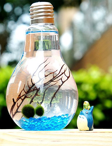 LEBULI LBLI plantes simples de paysages écologiques micro verre paysage bouteille d'algues créative pot anniversaire est le cadeau de Saint-Valentin JIAJU-YONGPING #2215 code EAN 9456941850050 