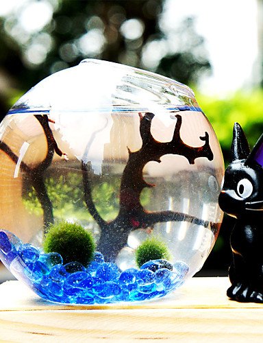 LBLI plantes simples de paysages écologiques mi...