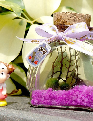 LBLI plantes simples de paysages écologiques mi...