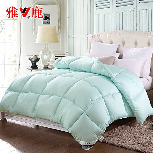 Support Polyester chaleur pleine/Queen/full/lit...