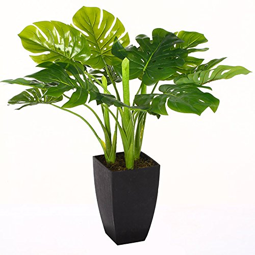 Plante Verte Artificielle - 77 cm - Avec Pot
